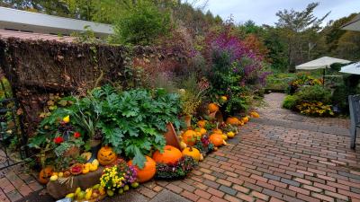 2024 3人で秋の信州 1日目