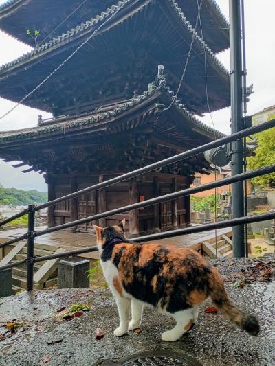 広島 あちこち小旅行１（尾道、夜の広島市内）