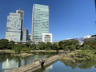 2024年11月　旧芝離宮と竹芝を歩く