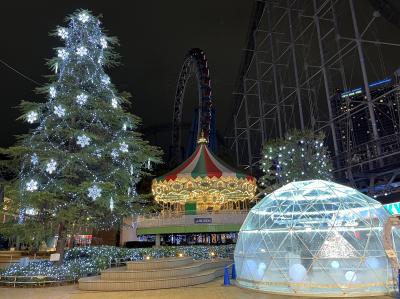 秋の東京をぶらぶら １１月後編