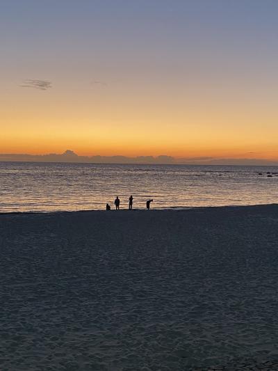 2024年 秋の南紀白浜女一人旅 Day1