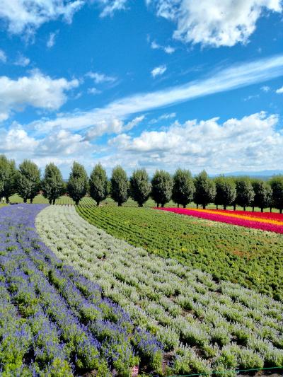 .*・*満点の星に魅せられた2024夏 の北海道旅17泊+青森2泊.*・*⑥