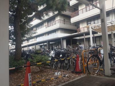 【ちょっとお出掛け】年一回の定期通院。<京都大学付損病院>