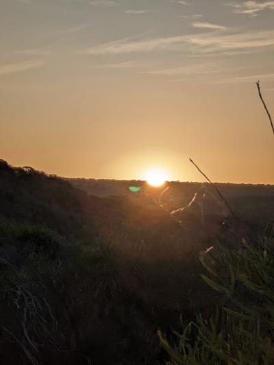 “ 自称 ” オーストラリア絶景マニアが走る西オーストラリア < カルバリーNP Zベンド >