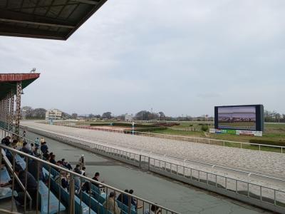 たまにはベタなギャンブルめし2403　「笠松競馬場で、どてめしをいただきました。」　　～羽島・岐阜～
