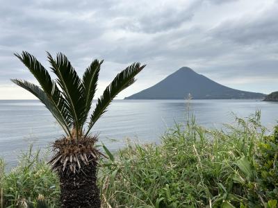 鹿児島満喫の旅3/4 枕崎のかつおと指宿砂風呂初体験