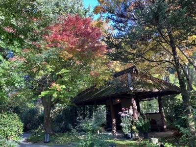 24年秋の旅③ 唯一無二の宿　秋の仙仁温泉岩の湯2泊3日