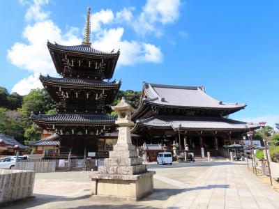 水間鉄道の旅～水間観音と温泉を訪ねて～