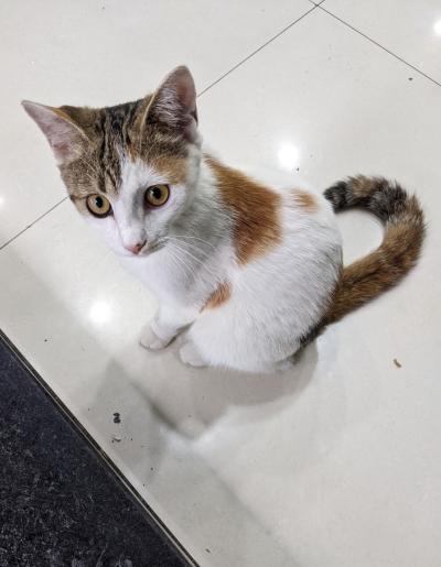 秋分の日三連休プラスα寧波の旅　其の四