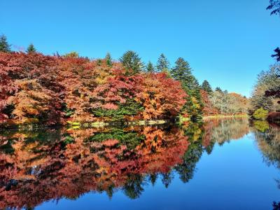 2024  紅葉ドライブ！《  高津戸峡～宝徳寺～わたらせ渓谷～軽井沢～妙義山》