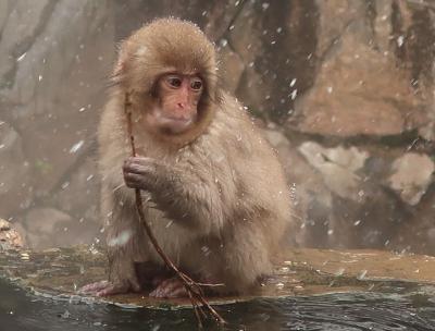  記念日旅行　２０２４