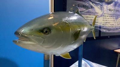 富山でお寿司～サウナ～日本酒～カロリー消費