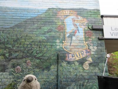 オーストラリア東海岸周遊旅　withゴエモン　Part7　ブルーマウンテンとシドニーオペラハウス