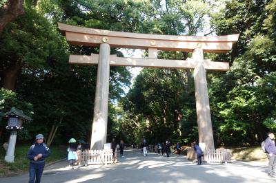 11月8日～10日で2泊3日ゆかいな東京！仲間10人の旅です。