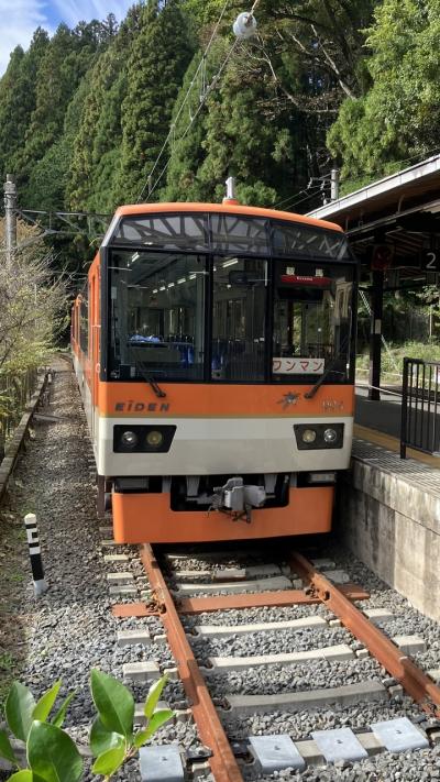 京都もみじめぐり2024     〈1〉　　  鞍馬小ハイキングと鴨川ウォーク