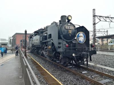 【旅友訪ねて…東京へ 3】鬼怒川温泉からSL大樹をチラ見して東京浅草へ