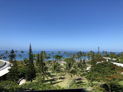 2020年2月 ニューカレドニア 2