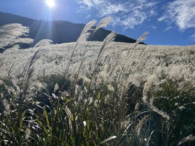 夫婦旅 箱根一泊旅行〈斎縁、彫刻の森美術館、箱根神社、九頭竜神社、大涌谷、仙石原、ポーラ美術館〉