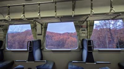 小海線経由一筆書き紅葉とワインかじり乗り継ぎ旅