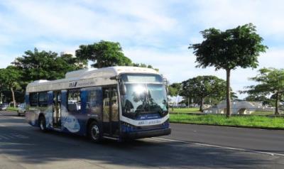 202408鶴亀家のハワイアンウェディング協奏曲⑦土曜日はカカアコ