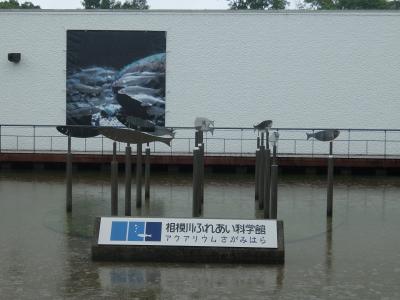 川と宇宙の街、相模原の科学館・博物館めぐり