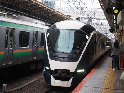 特急サフィール踊り子グリーン車＆踊り子（横浜―伊東―小田原）☆横浜駅ナカのカフェ☆崎陽軒の横濱ピラフ