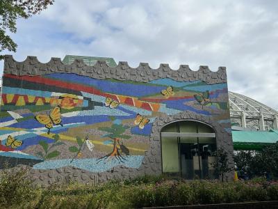 My home town ！伊丹昆陽池公園お散歩備忘録(^_^)