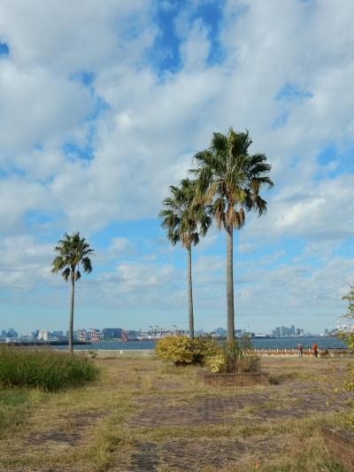 「　大田区城南島海浜公園　自転車　さんぽ　」2024
