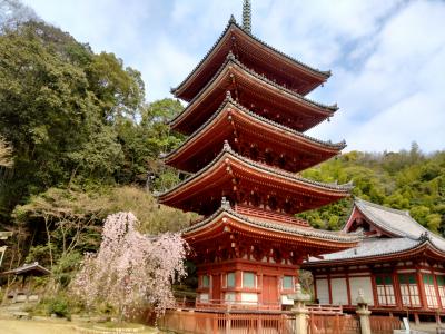 佐波城山公園、草戸山、明王院、福山市園芸センター