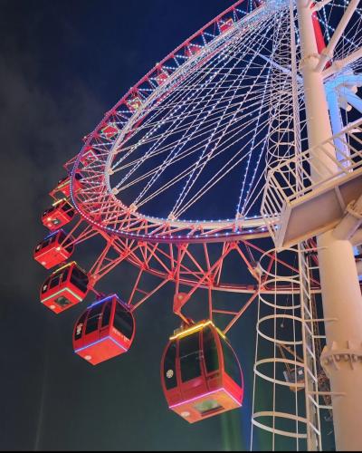 無計画だからこそよかった大邱旅行