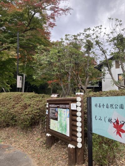 静岡紅葉名所　三島スカイウォークと修善寺もみじ林