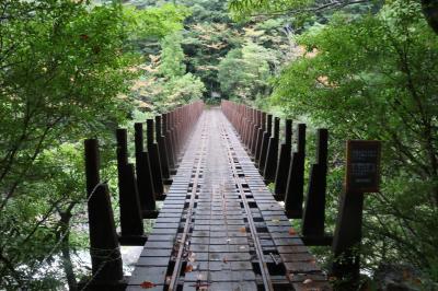 2泊3日種子島・屋久島 定番スポットの旅(2・3日目)