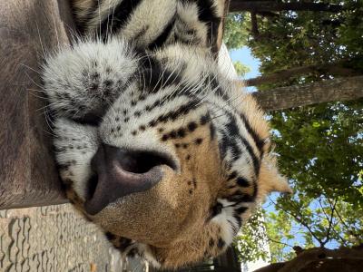 タイ!パタヤ!3泊4日