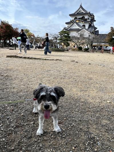 犬旅～滋賀・彦根城編～
