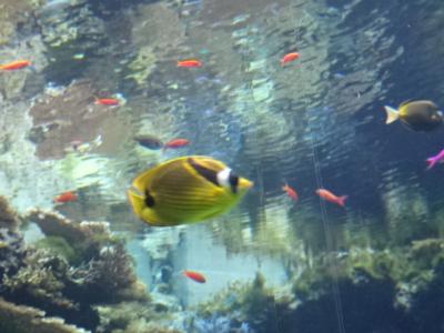 沖縄講演旅行その3