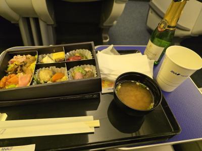 ANAプレミアムクラスで長崎へ