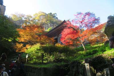 東北の紅葉(山形の山寺、岩手の平泉、秋田の角館)