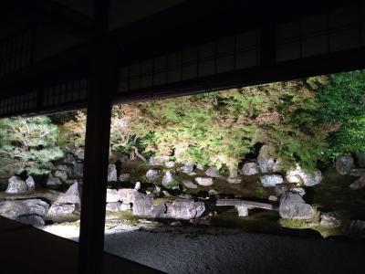 秋の京都日帰り旅、高台寺ライトアップ