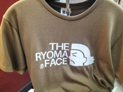 2024業務ついでに高知食べ歩き。香川でうどん食べたけど