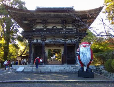 フェリーツアーを利用して滋賀の紅葉寺を訪問する！～教林坊・石山寺・三井寺～