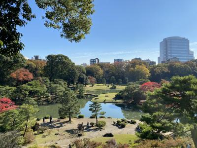 2024年11月　穏やかな11月の平日　六義園と東洋文庫へ