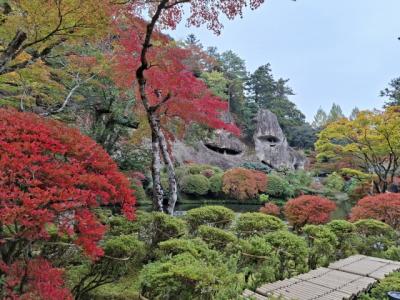 休暇で新居に初帰郷した息子と白山ひめ神社参拝と那谷寺へ紅葉狩り。おまけに兼六園のライトアップも