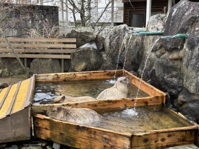 晩秋の子連れ那須旅行
