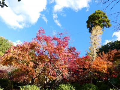 2024　里山マルシェ　横瀬