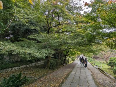 京都紅葉 ① ショッピングと養源寺