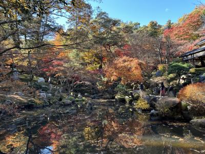 紅葉の洞窟観音徳明園　猿ヶ京温泉　江戸創業の宿 旅籠屋丸一に泊まる～2024.12