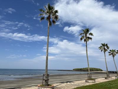 宮崎県 青島 ３泊４日 ひとり旅 1