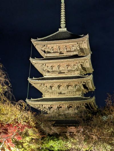 京都紅葉 ② 高台寺と東寺夜間照明