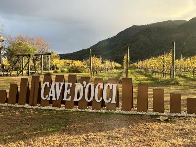 2024年末初冬の新潟グルメ・温泉ツアー vol.4 カーブドッチ施設編