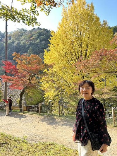 香嵐渓・岡崎城　2日目